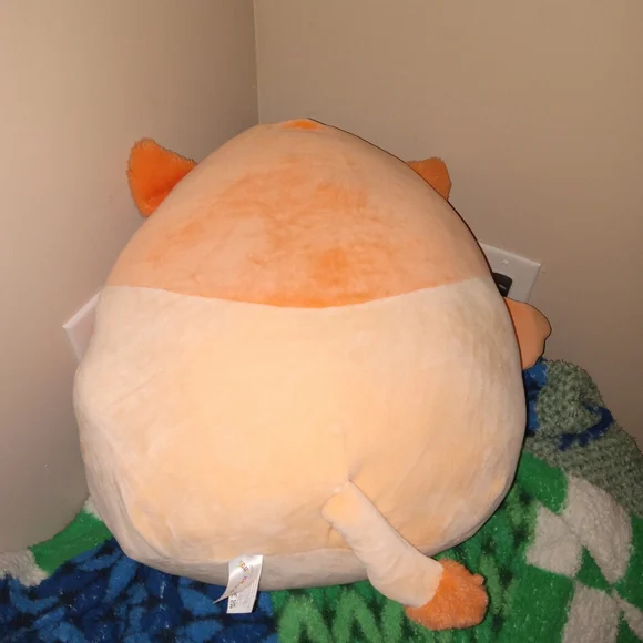 Abdul the Griffon - Picture 4 of 5